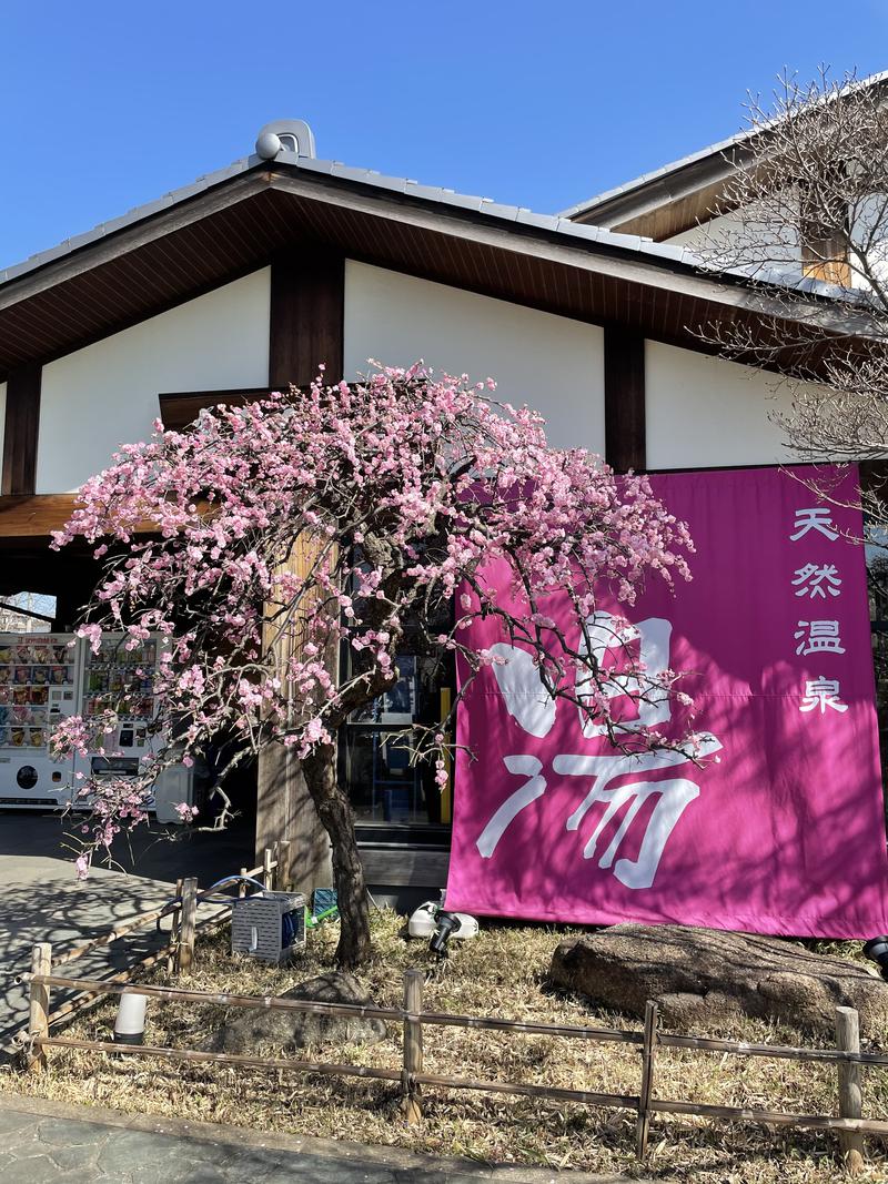 ムラッチャさんの天然温泉 真名井の湯 大井店のサ活写真