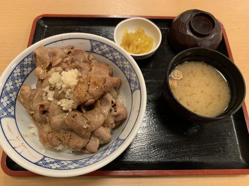 ねるそんさんの湯乃泉 草加健康センターのサ活写真