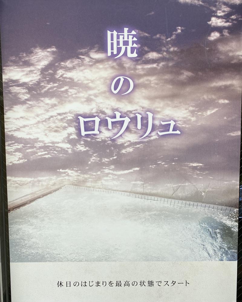 ハリネズミの中の人（黒い方のSZK）さんの湯乃泉 草加健康センターのサ活写真