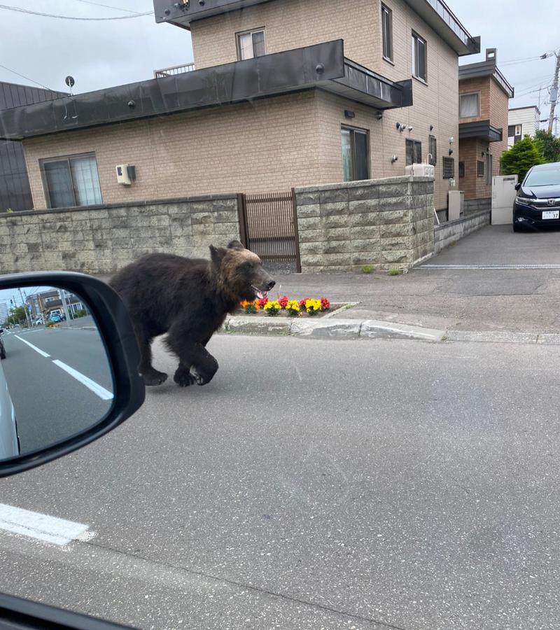 🔥あちちシャンプー🔥さんの笑福の湯のサ活写真