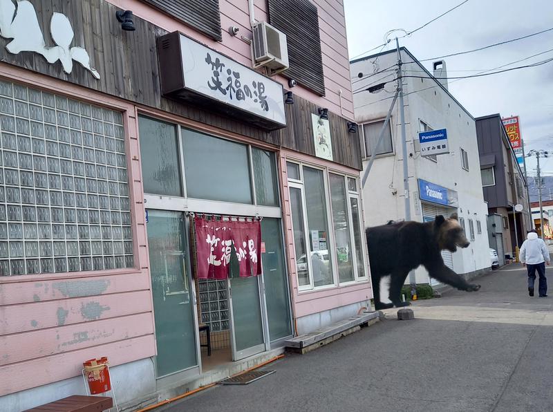 🔥あちちシャンプー🔥さんの笑福の湯のサ活写真