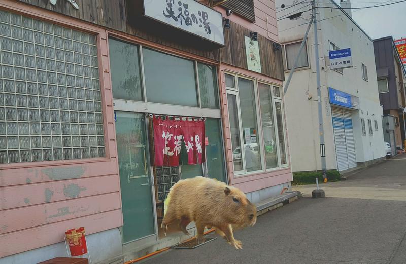 🔥あちちシャンプー🔥さんの笑福の湯のサ活写真