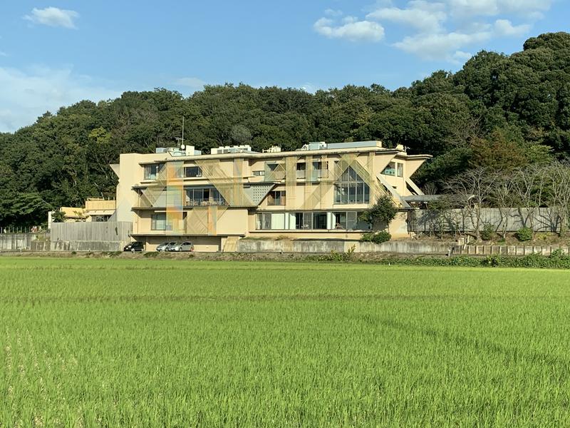 海豹さんの成田の命泉 大和の湯のサ活写真