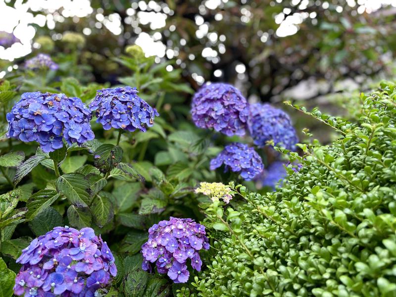 アリちゃんさんの馬橋湯 馬橋バスセンターのサ活写真
