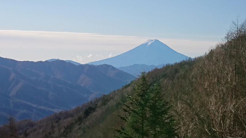 ちゅーSEライフさんののめこい湯のサ活写真