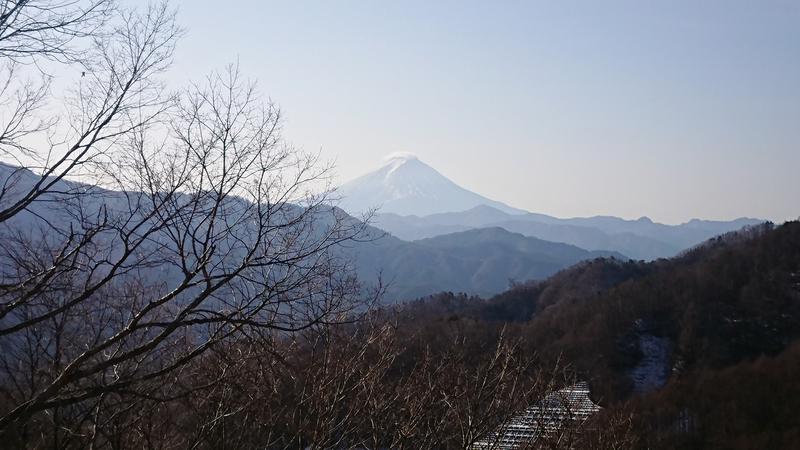 ちゅーSEライフさんののめこい湯のサ活写真