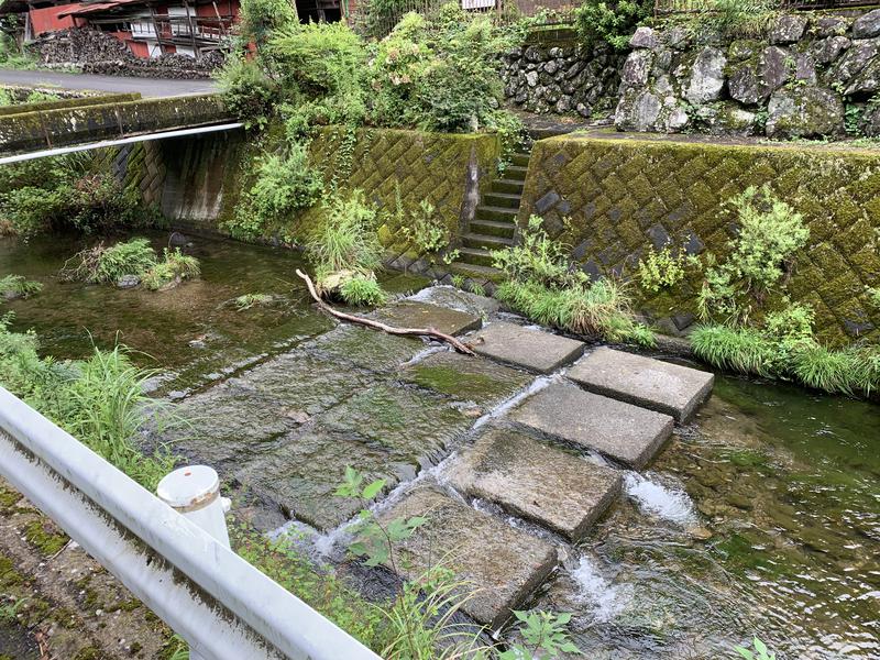 ﾛｺﾞｴさんの生涯青春の湯 つるつる温泉のサ活写真