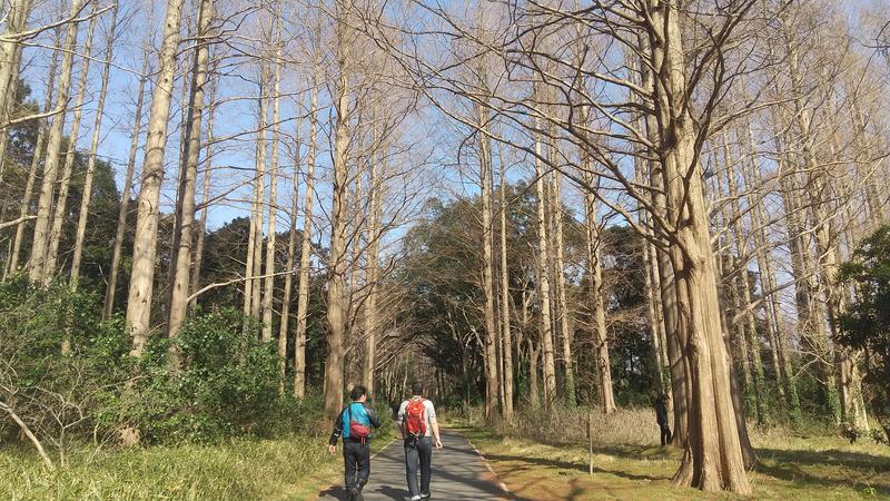 hiromi(葛西橋サウナクラブ事務局)さんの大谷田温泉 明神の湯のサ活写真