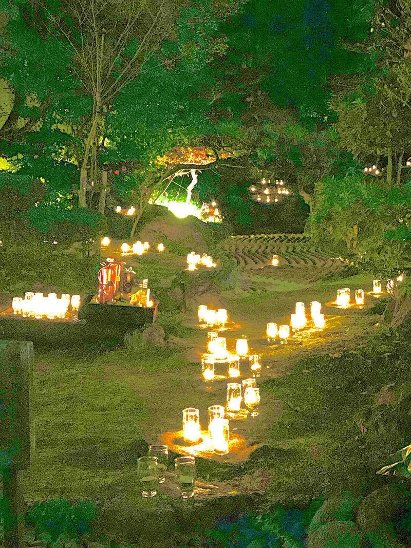 Water Bath Loversさんの前野原温泉 さやの湯処のサ活写真