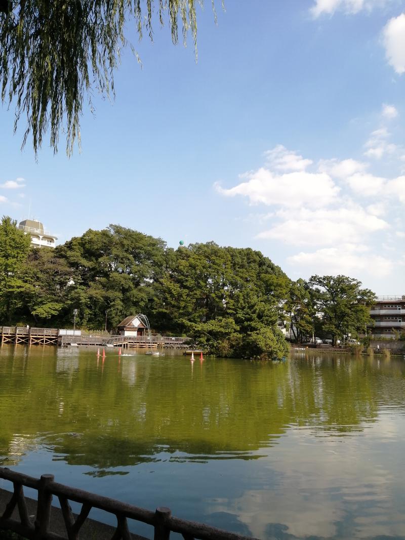 モトズリトルさんの前野原温泉 さやの湯処のサ活写真