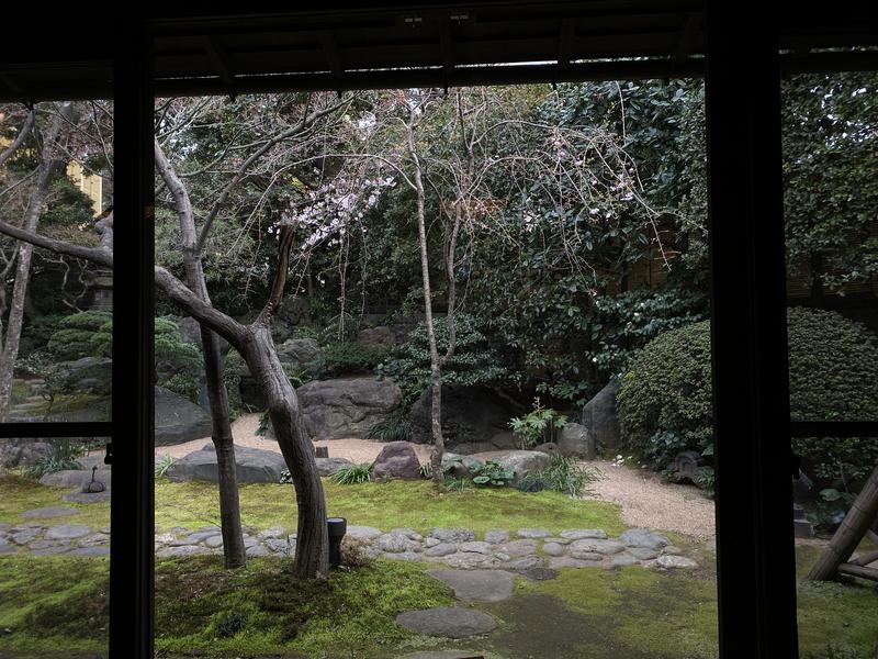 ひかりとかげさんの前野原温泉 さやの湯処のサ活写真