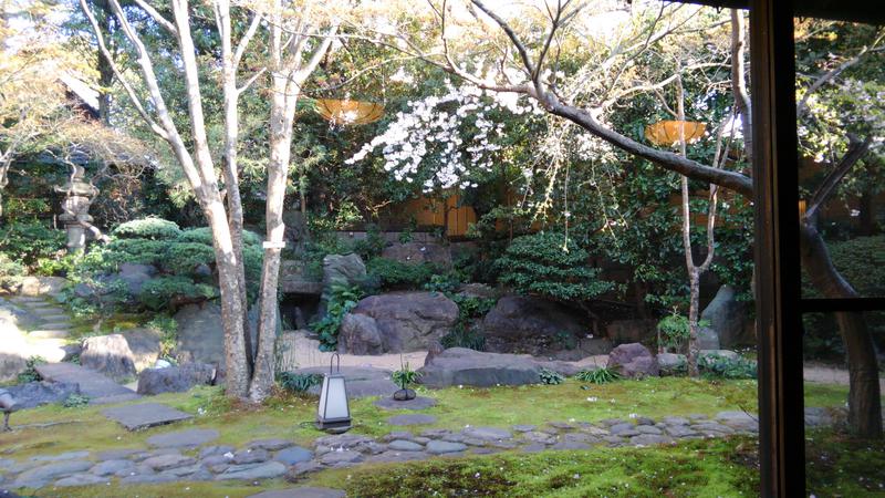 ウーシさんの前野原温泉 さやの湯処のサ活写真