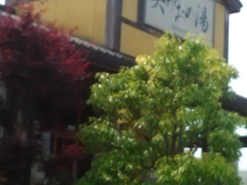 笑がおの湯 松戸矢切店 写真ギャラリー0