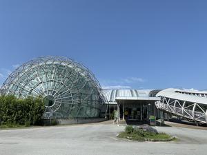 ゆ〜ぷるにらさき 写真