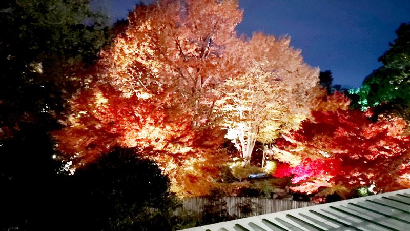 オオタニリュウさんの豊島園 庭の湯のサ活写真