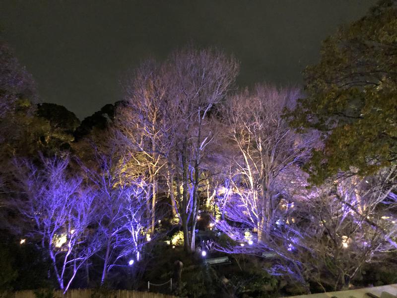 さうなりおんさんの豊島園 庭の湯のサ活写真