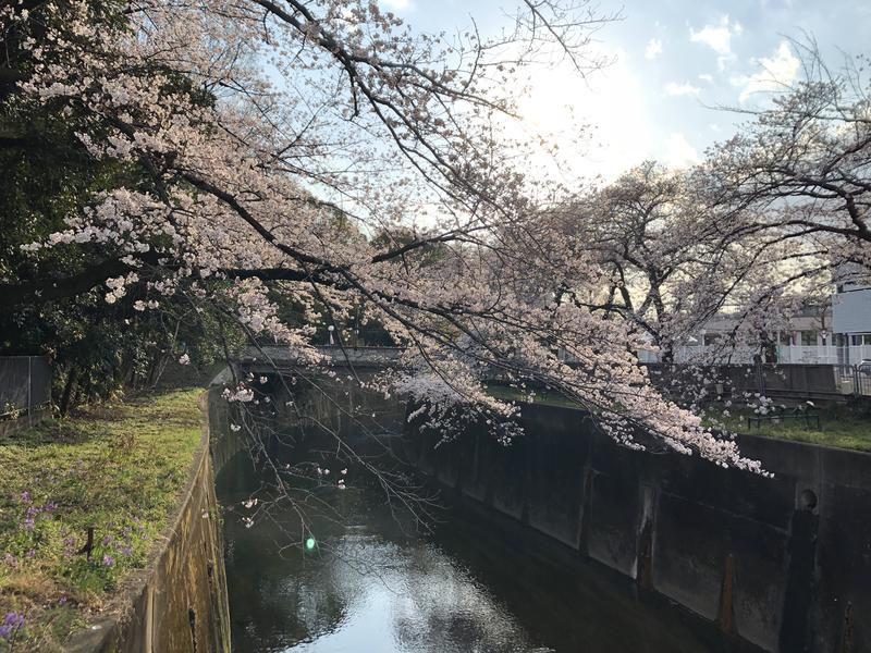 サ・ウナちゃんさんの豊島園 庭の湯のサ活写真