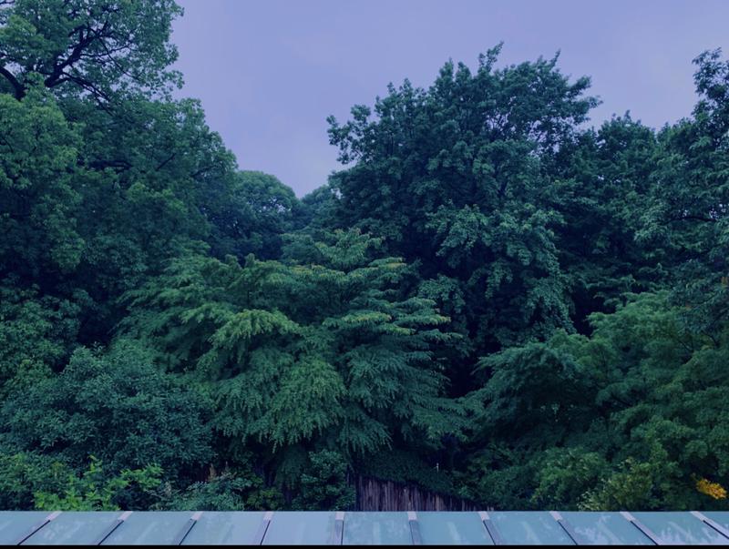 らぶりさんの豊島園 庭の湯のサ活写真