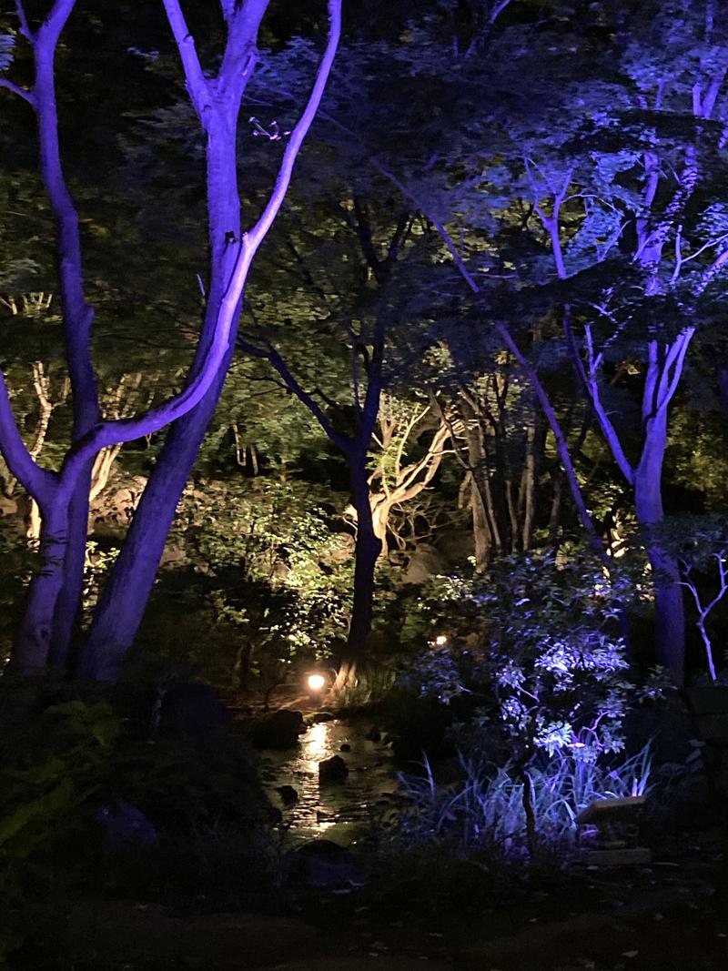 ウェカピポさんの豊島園 庭の湯のサ活写真