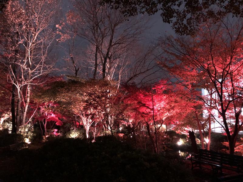 つむぐさんの豊島園 庭の湯のサ活写真