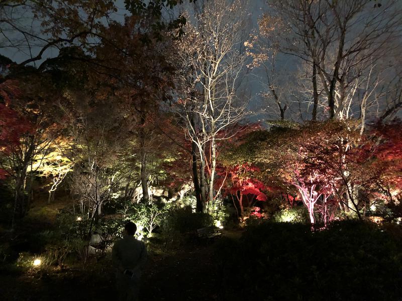 つむぐさんの豊島園 庭の湯のサ活写真