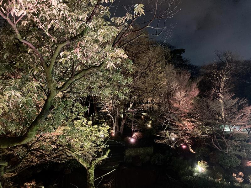 さうなりおんさんの豊島園 庭の湯のサ活写真