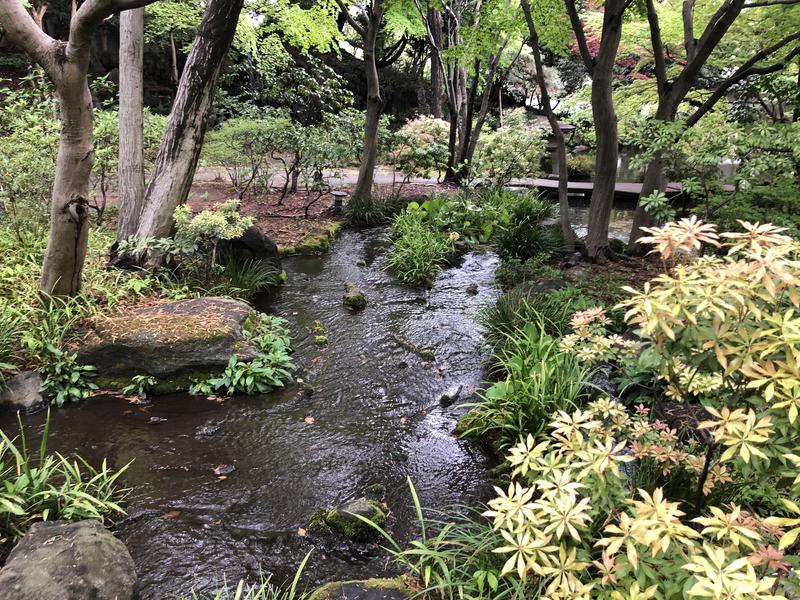 つむぐさんの豊島園 庭の湯のサ活写真