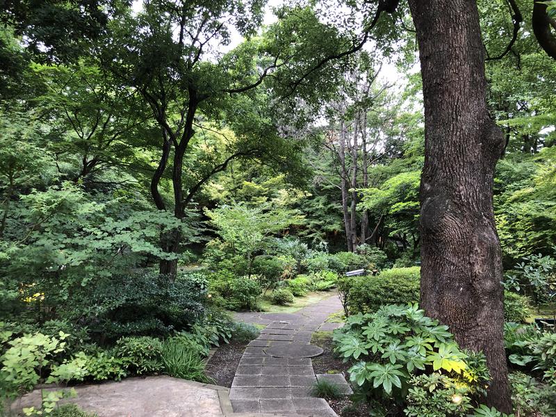 つむぐさんの豊島園 庭の湯のサ活写真