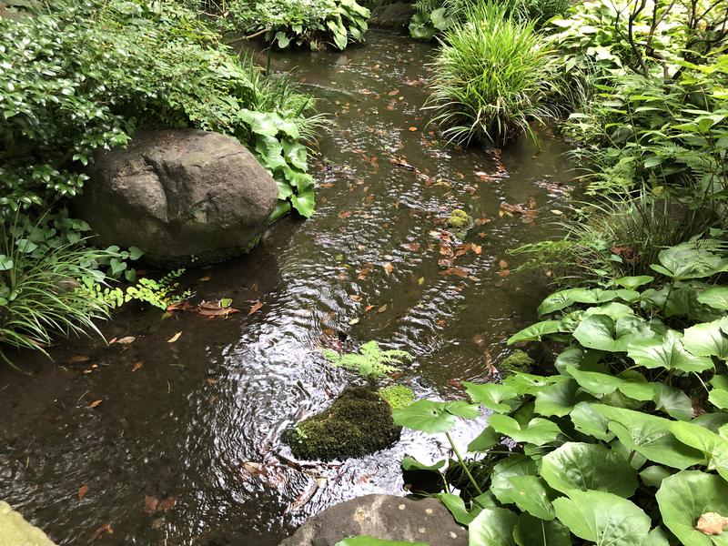 つむぐさんの豊島園 庭の湯のサ活写真