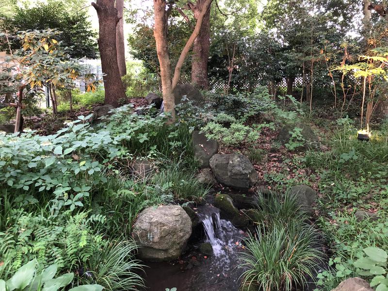 つむぐさんの豊島園 庭の湯のサ活写真