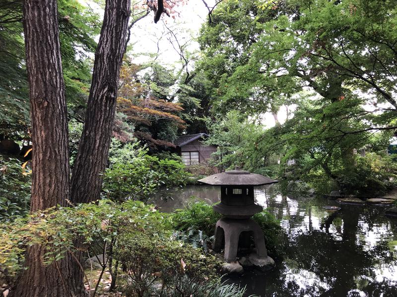 つむぐさんの豊島園 庭の湯のサ活写真