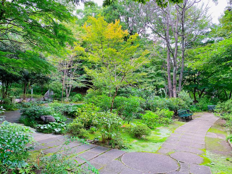 影山さんの豊島園 庭の湯のサ活写真