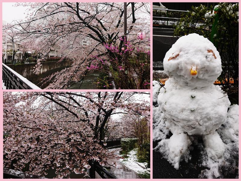 TETSUYAさんのカプセル&サウナ ロスコのサ活写真