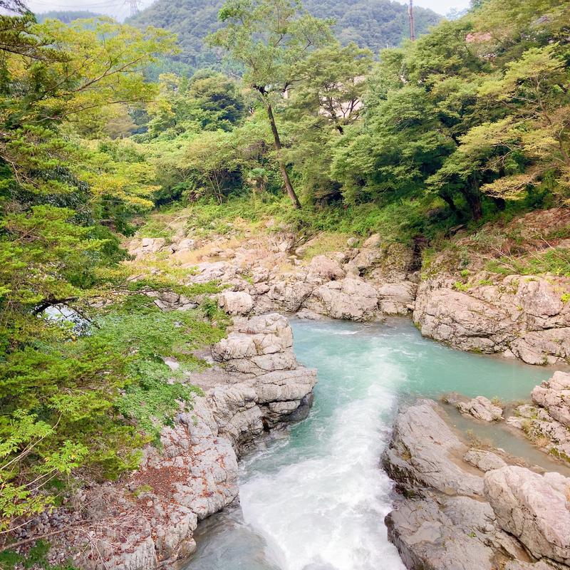 らきあさんの秋川渓谷 瀬音の湯のサ活写真