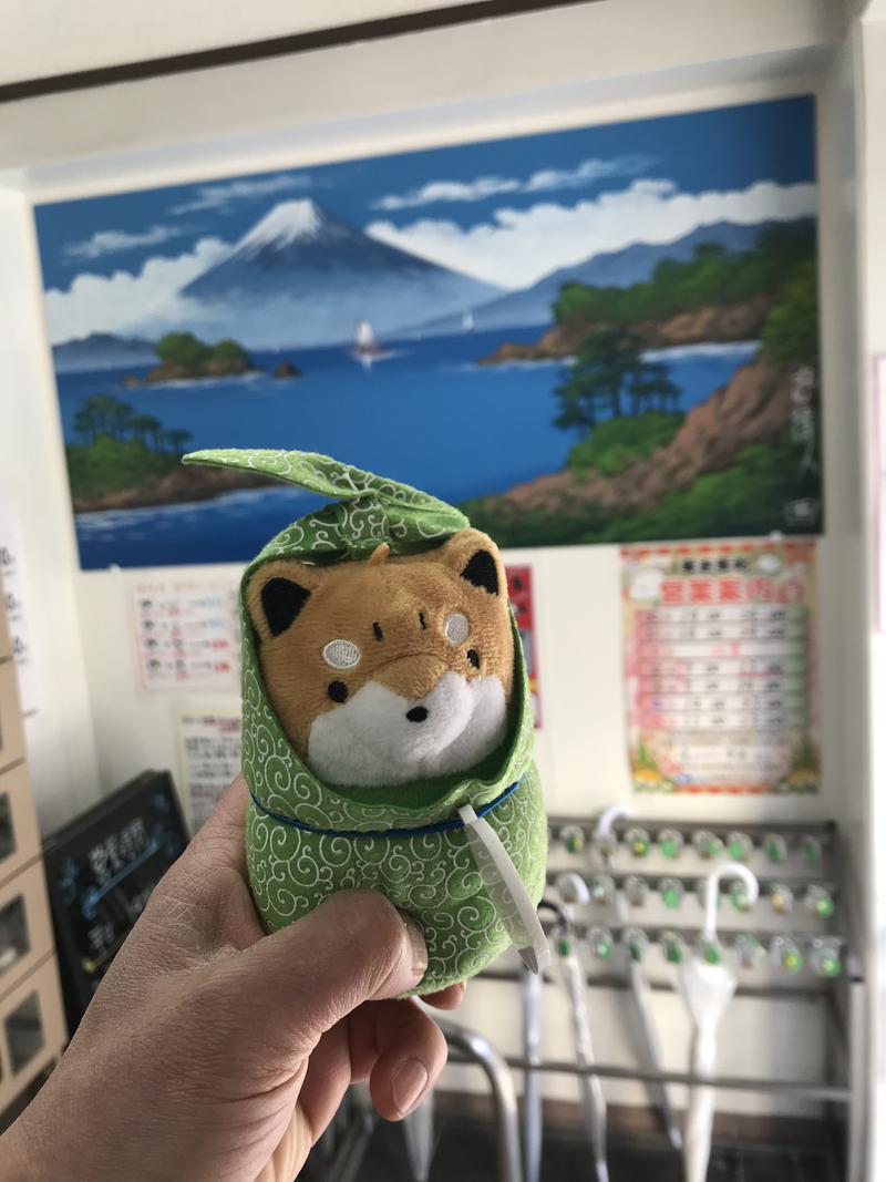 ほっちゃんさんの天然温泉 湯どんぶり栄湯のサ活写真