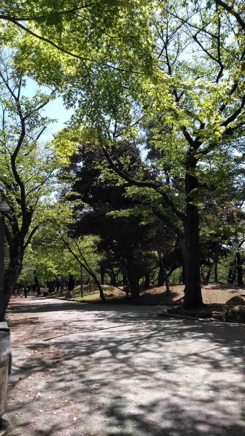 河口拓也さんのひだまりの泉 萩の湯のサ活写真