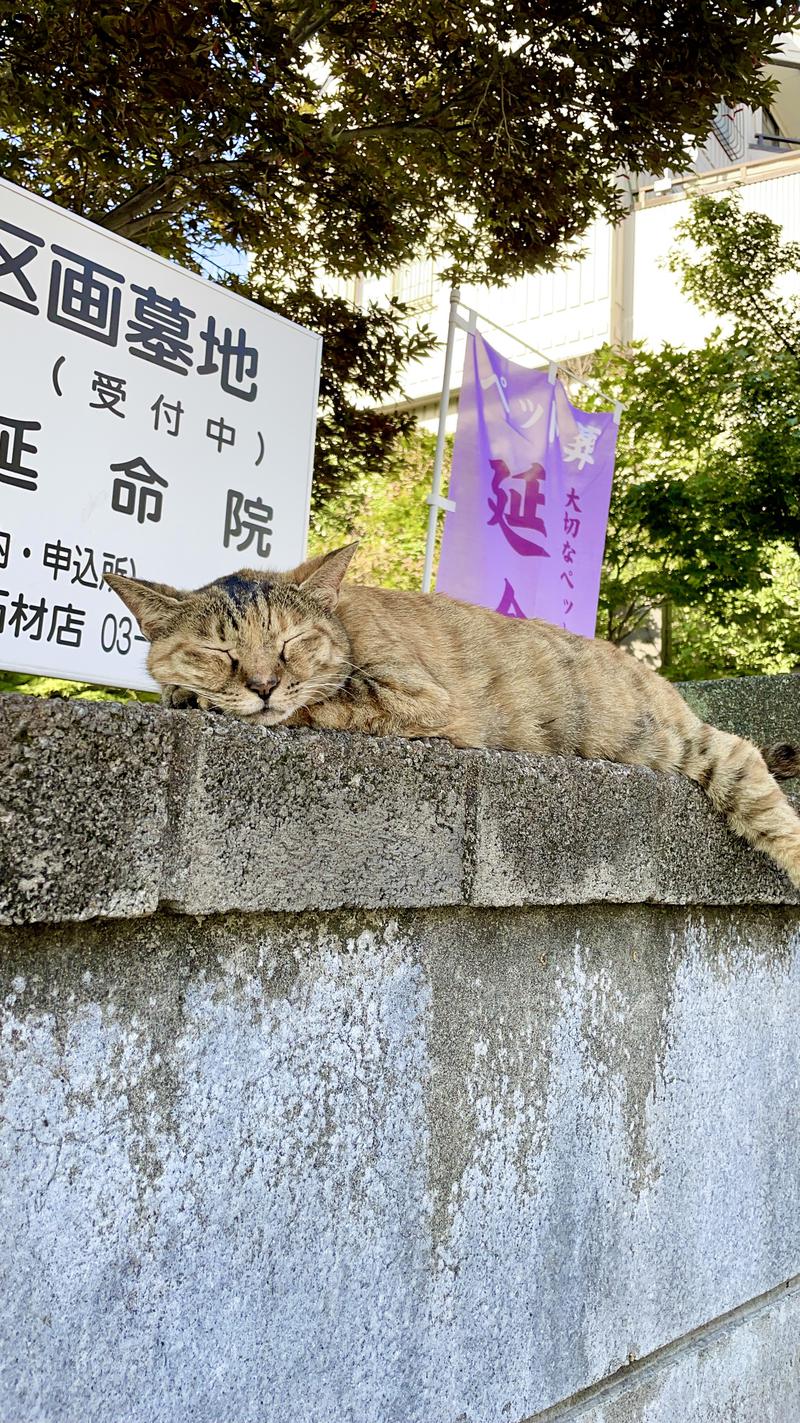 サウナOLさんのひだまりの泉 萩の湯のサ活写真