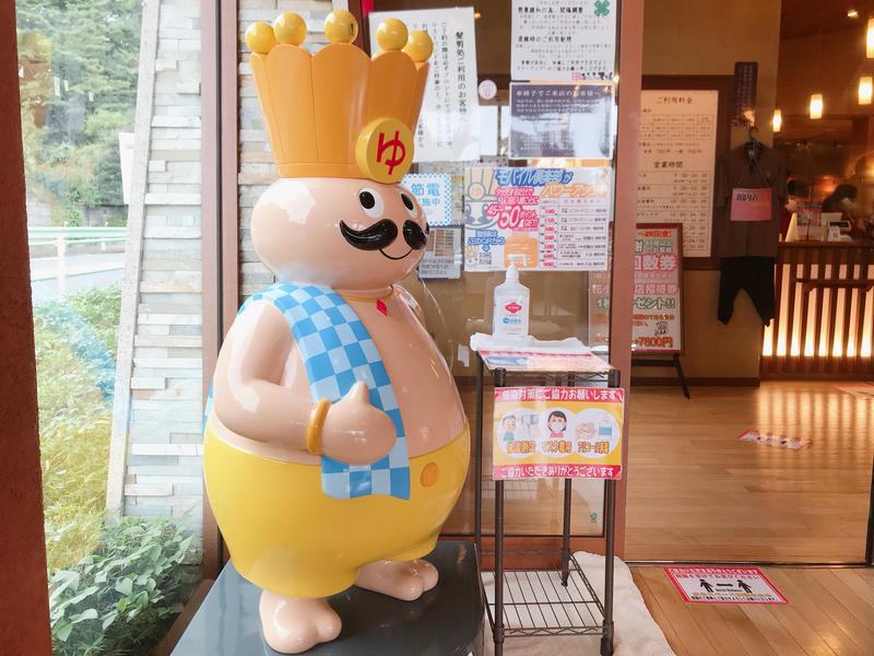 カラーひよこさんのおふろの王様 花小金井店のサ活写真