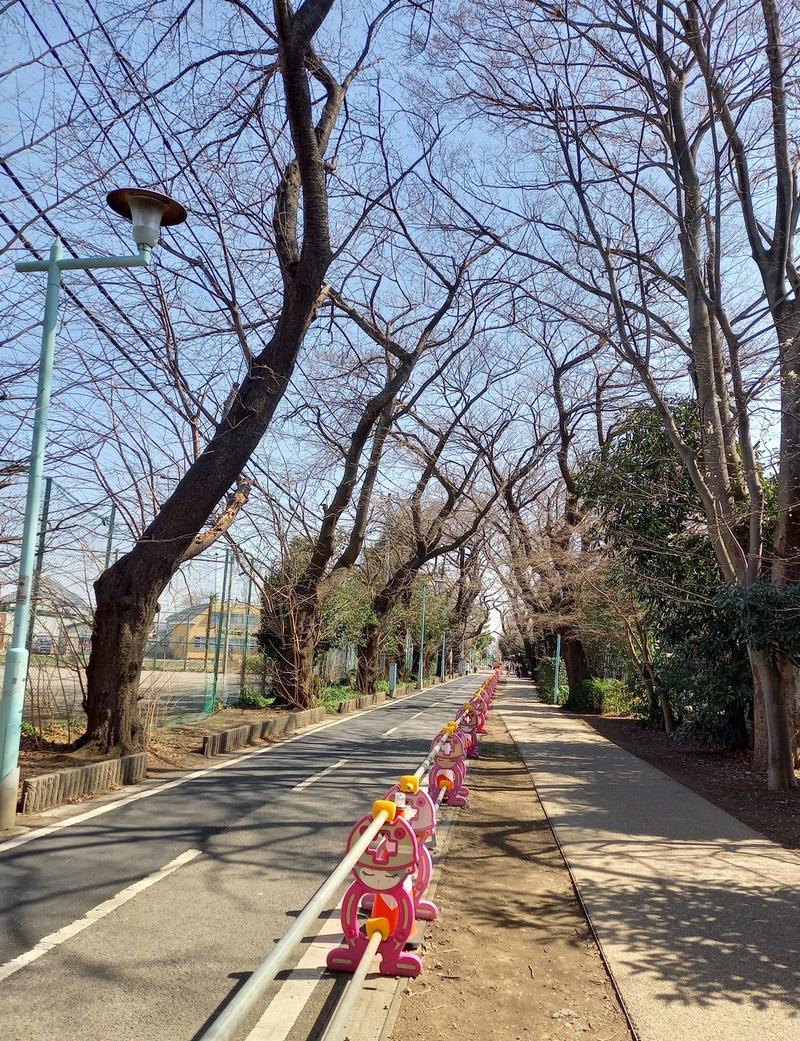 kobanさんのおふろの王様 花小金井店のサ活写真