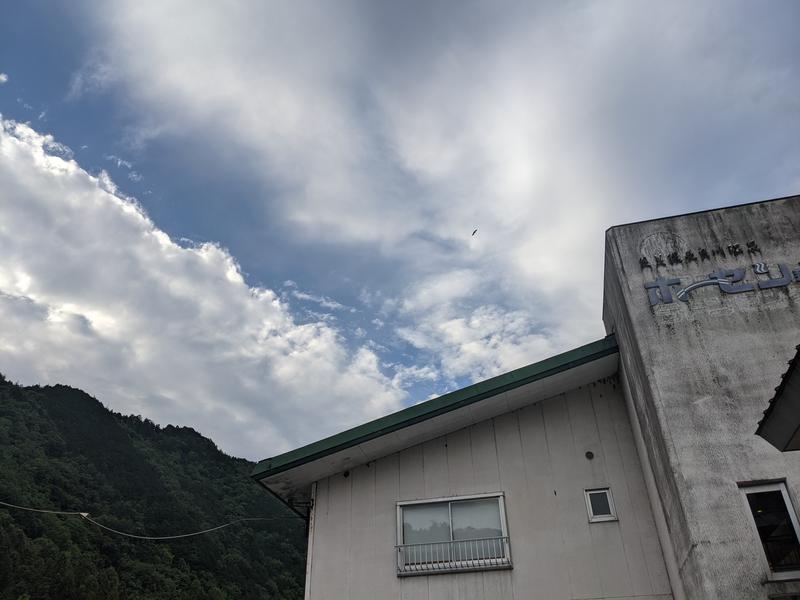 粗塩さんのホテル郡上八幡 やすらぎの湯 宝泉のサ活写真