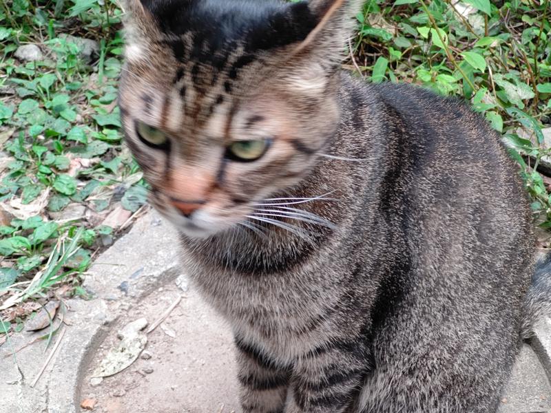 尿泉 尿さんの喜楽湯のサ活写真