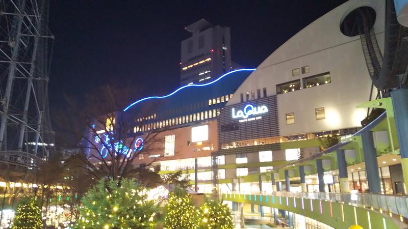 はるちゃんねるさんの東京ドーム天然温泉 Spa LaQua(スパ ラクーア)のサ活写真