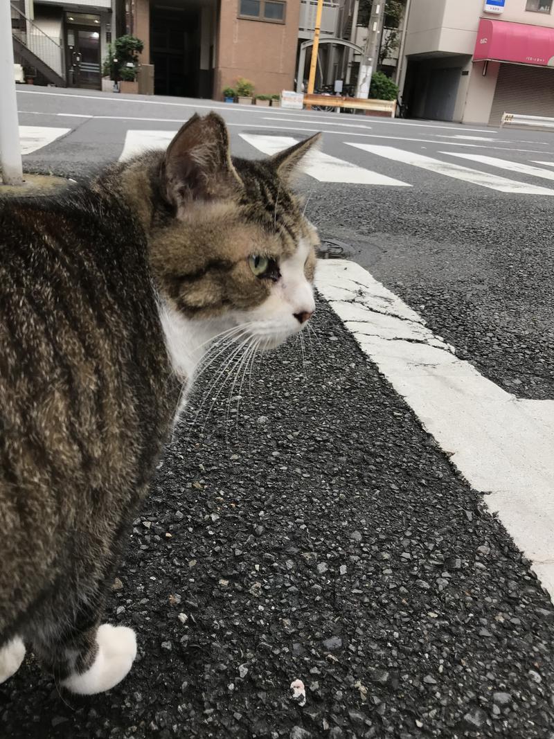 おヌシちゃん1級さんの押上温泉 大黒湯のサ活写真