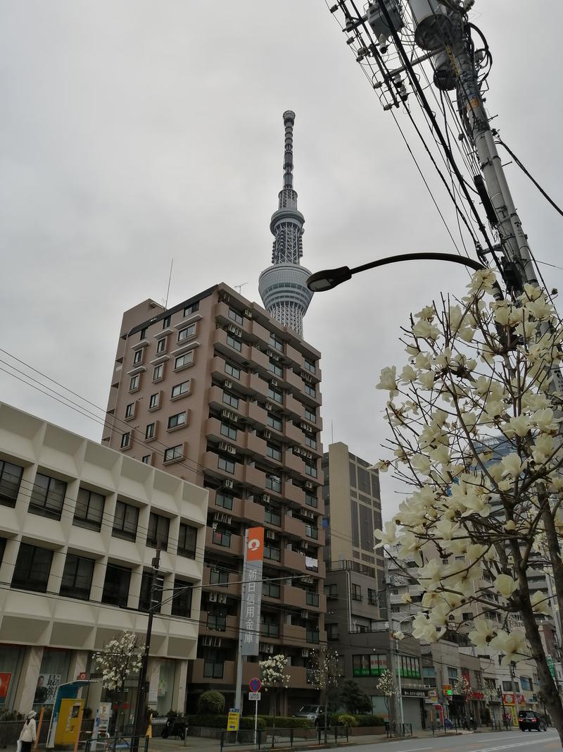 ウーシさんの押上温泉 大黒湯のサ活写真