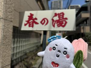 春の湯 写真