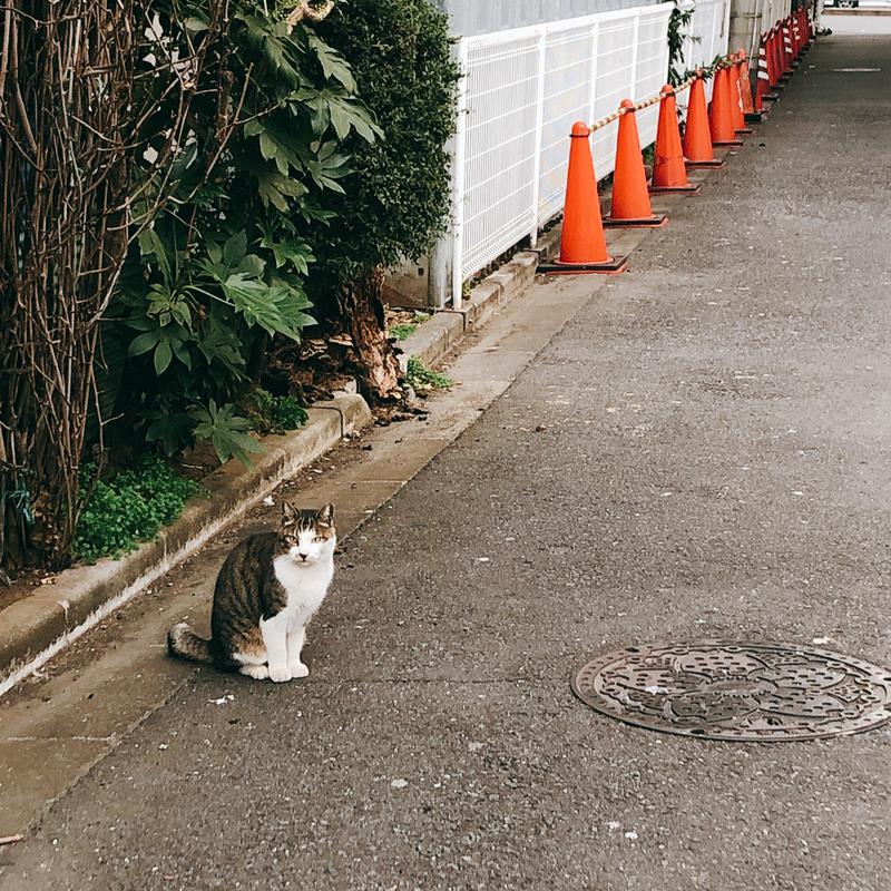 ちえさんのルビーパレスのサ活写真