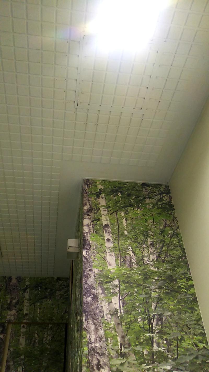 ひろじゅさんのスパ&カプセル ニューウイングのサ活写真