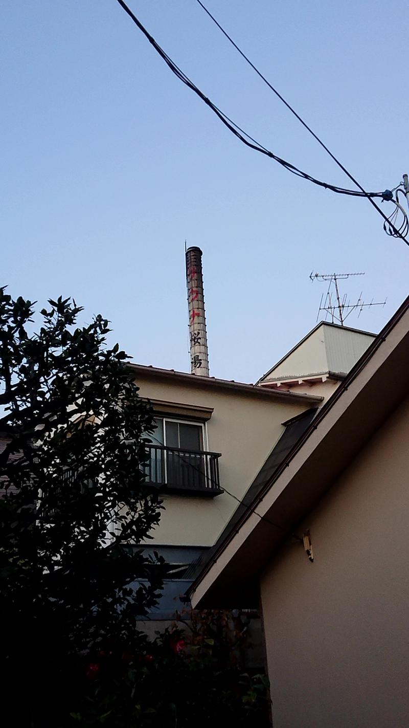 ダグさんの桜湯(さくら湯)のサ活写真