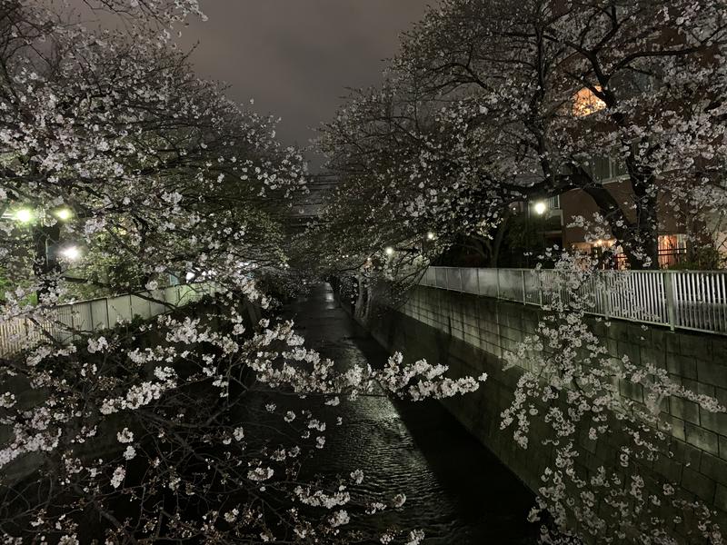 ととしさんの清春湯のサ活写真