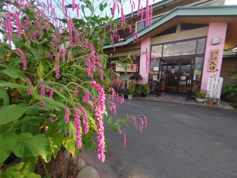 登山サウナーさんの正徳寺温泉初花のサ活写真